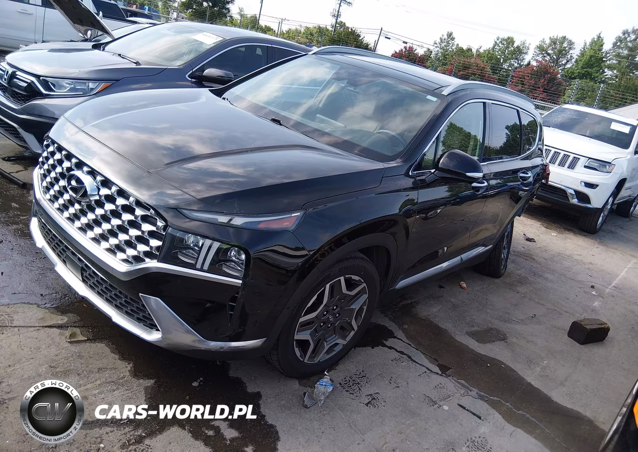 2021 Hyundai Santa Fe Limited VIN:5NMS44AL3MH309562 - 2