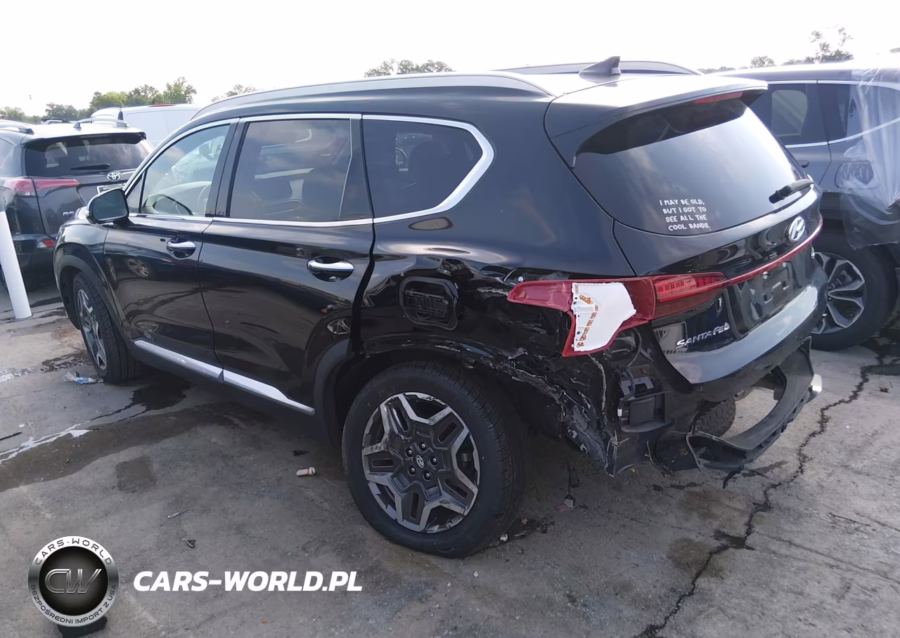 2021 Hyundai Santa Fe Limited VIN:5NMS44AL3MH309562 - 3