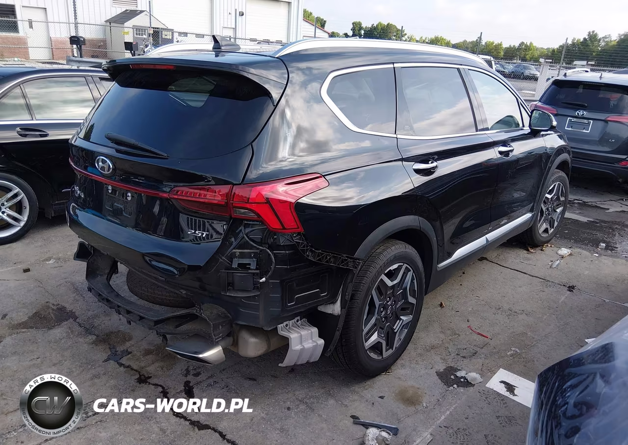 2021 Hyundai Santa Fe Limited VIN:5NMS44AL3MH309562 - 4
