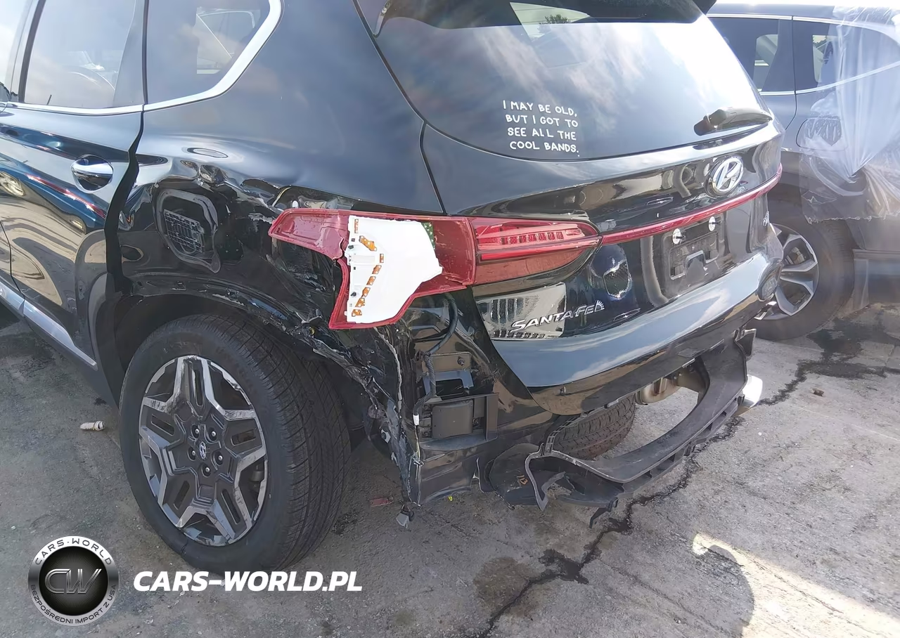 2021 Hyundai Santa Fe Limited VIN:5NMS44AL3MH309562 - 6