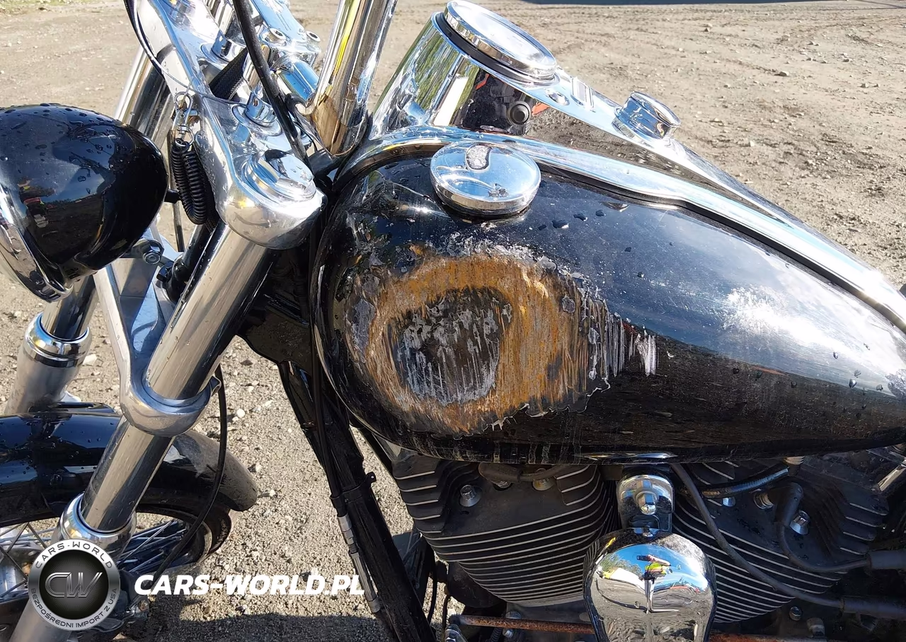 2010 Harley-Davidson Fxdwg VIN:1HD1GP41XAC303376 - 14