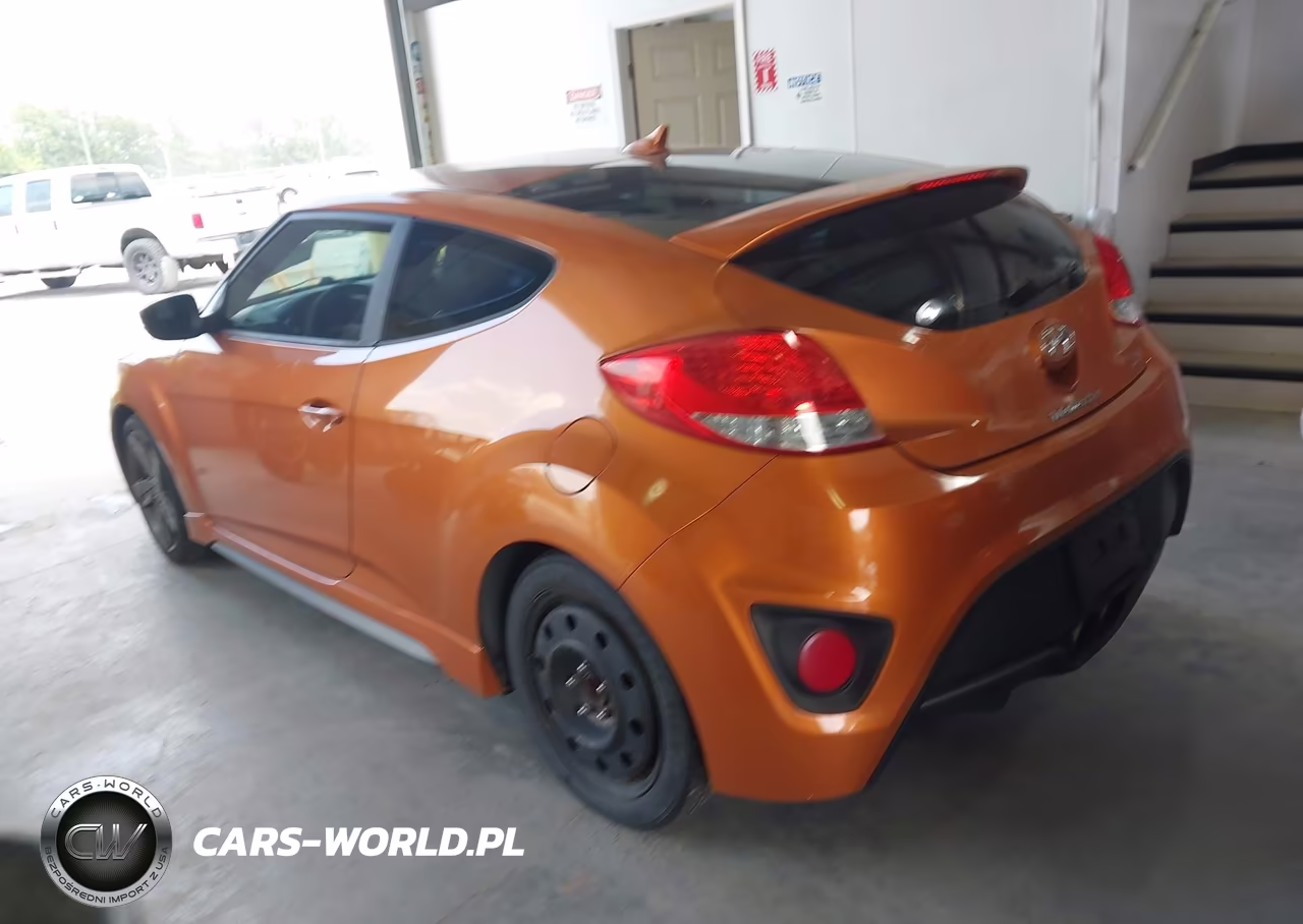 2013 Hyundai Veloster Turbo W-Black VIN:KMHTC6AE5DU132814 - 3