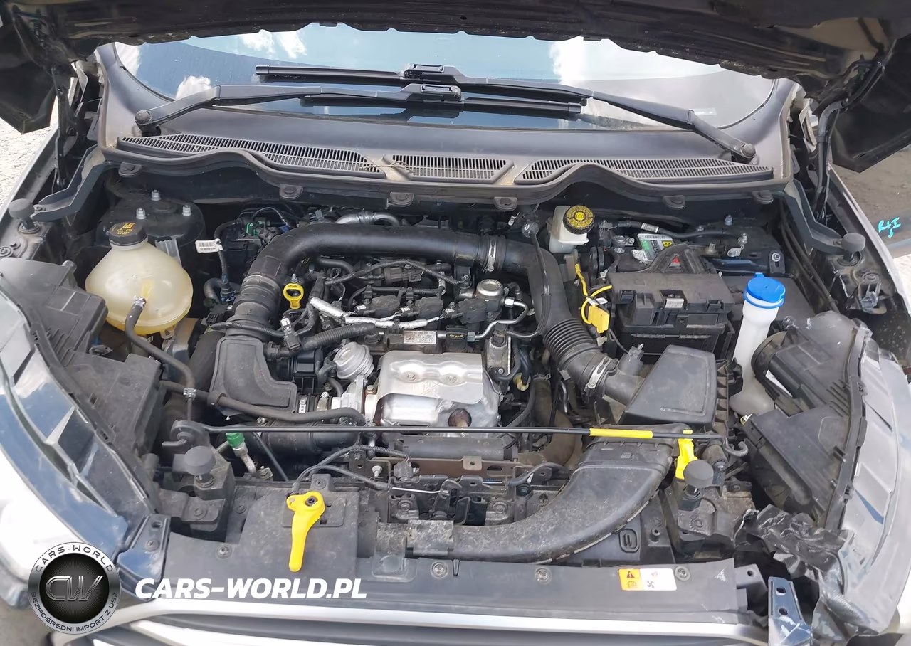 2018 Ford Ecosport Se VIN:MAJ3P1TE9JC159045 - 10