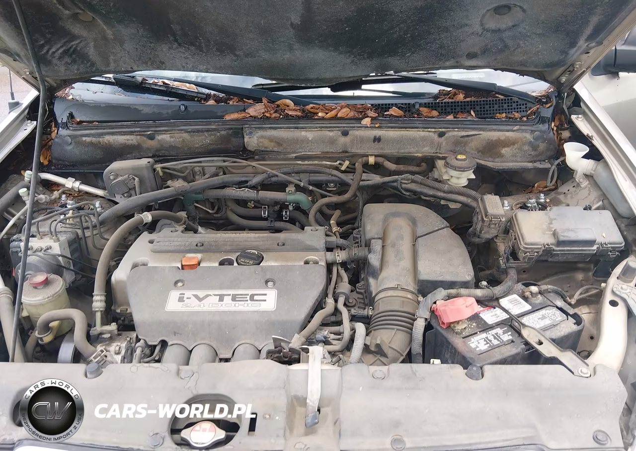 2006 Honda Cr-V Lx VIN:JHLRD68526C007024 - 10