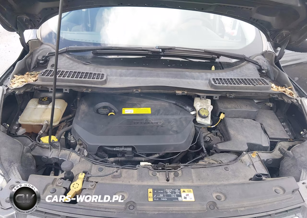 2016 Ford Escape Se VIN:1FMCU0GX3GUC01085 - 10