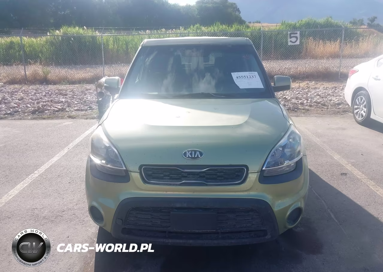 2013 Kia Soul VIN:KNDJT2A53D7620954 - 12