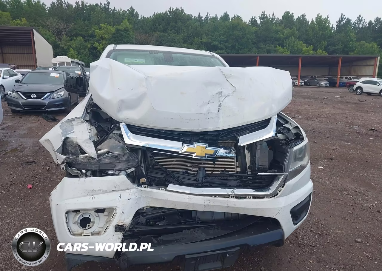 2019 Chevrolet Colorado Wt VIN:1GCHSBEA6K1217785 - 12