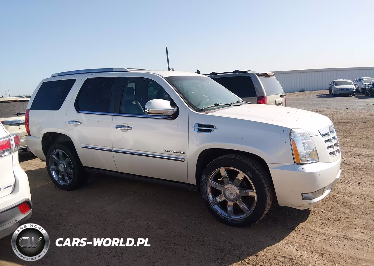 2011 Cadillac Escalade Premium VIN:1GYS4CEF8BR213363 - 13