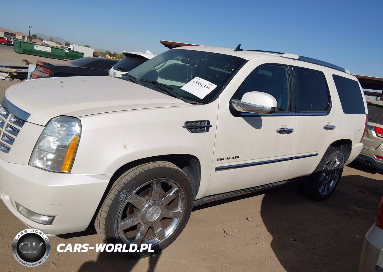 2011 Cadillac Escalade Premium VIN:1GYS4CEF8BR213363 - 14