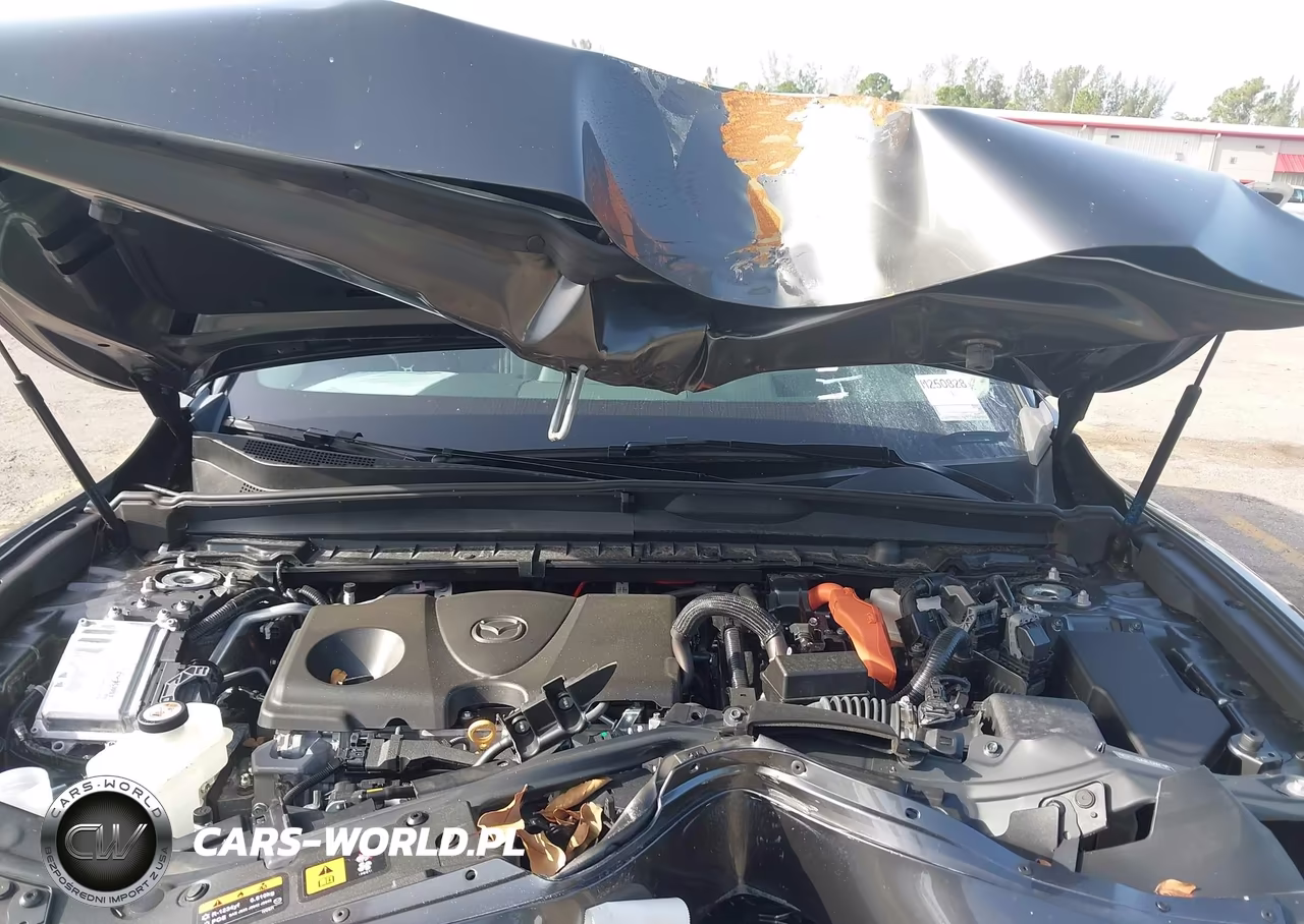 2025 Mazda Cx-50 Hybrid Premium Plus Package VIN:7MMVAAEW1SN118862 - 10
