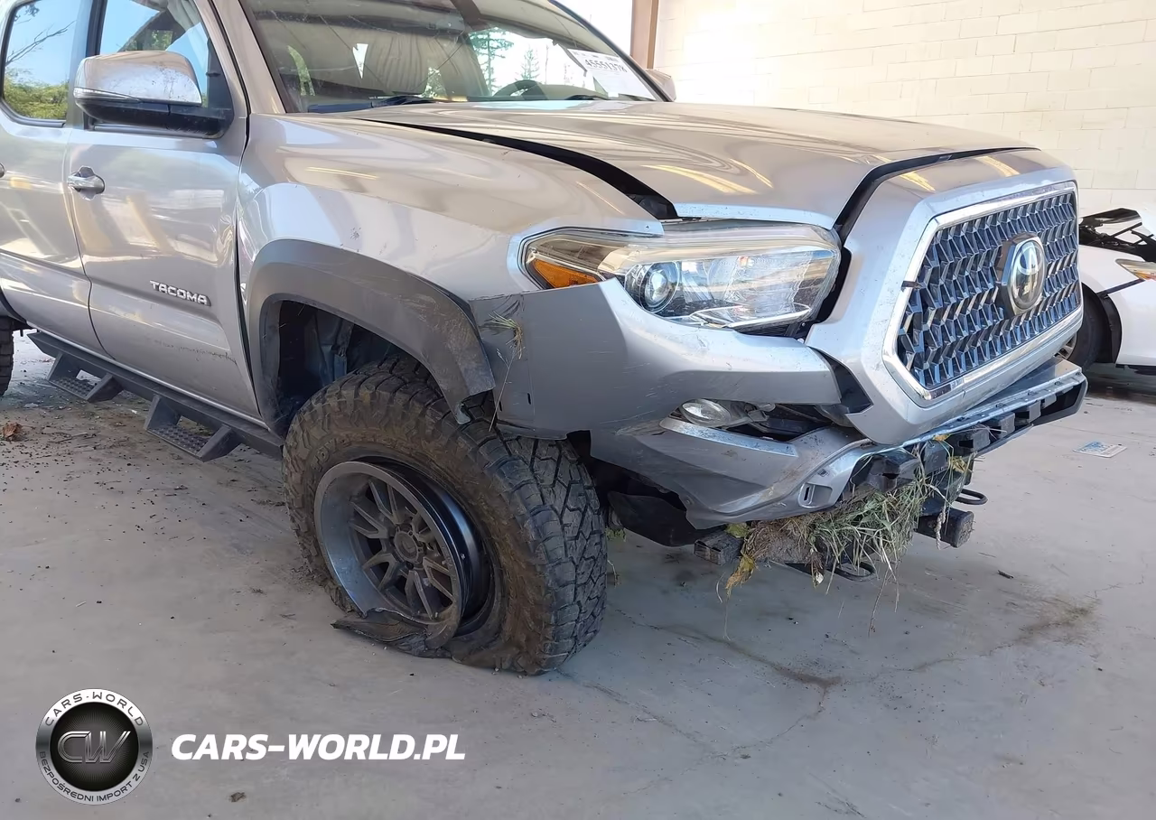 2019 Toyota Tacoma Trd Off Road VIN:3TMDZ5BN6KM067005 - 6