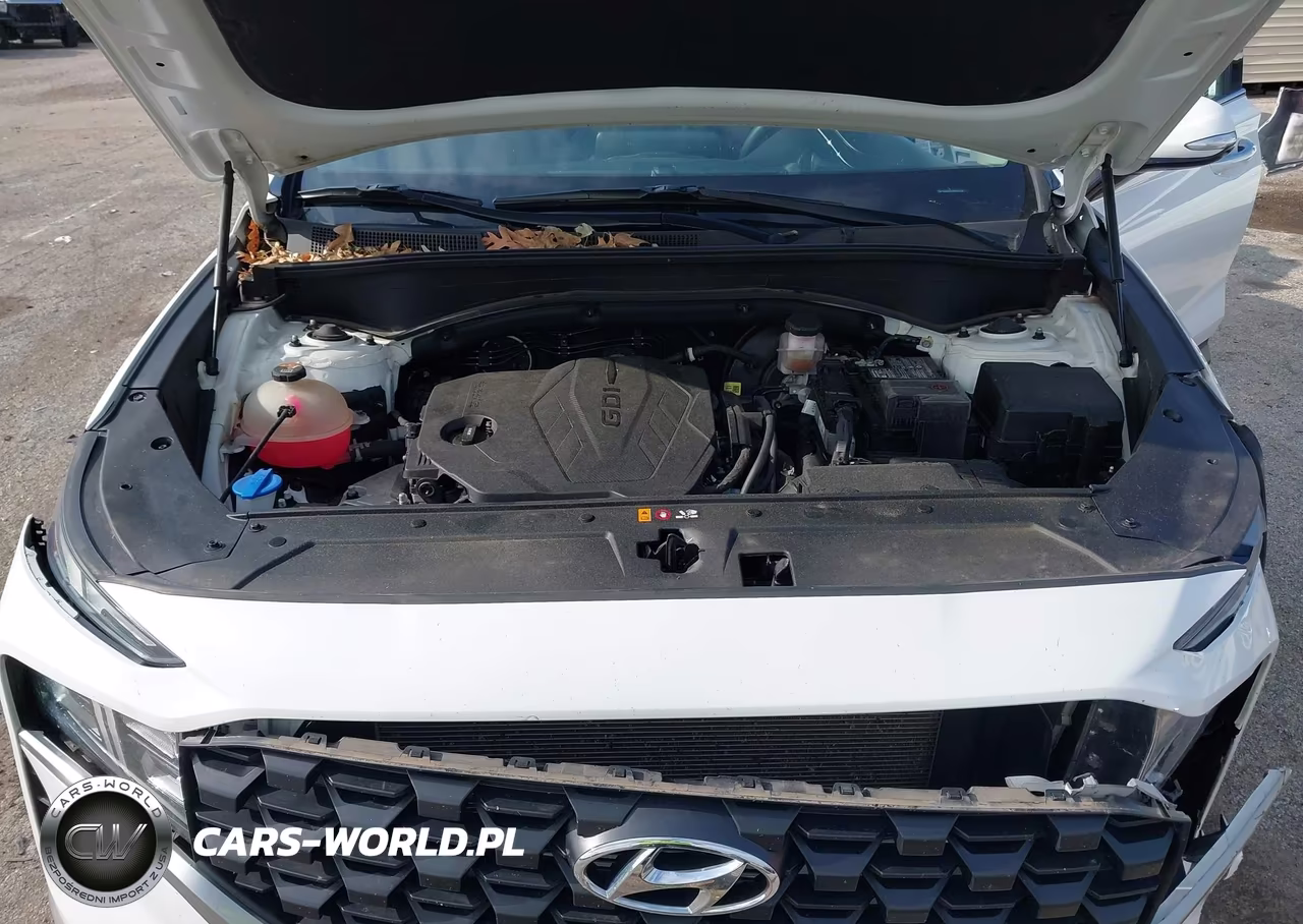 2023 Hyundai Santa Fe Sel VIN:5NMS2DAJ4PH563368 - 10