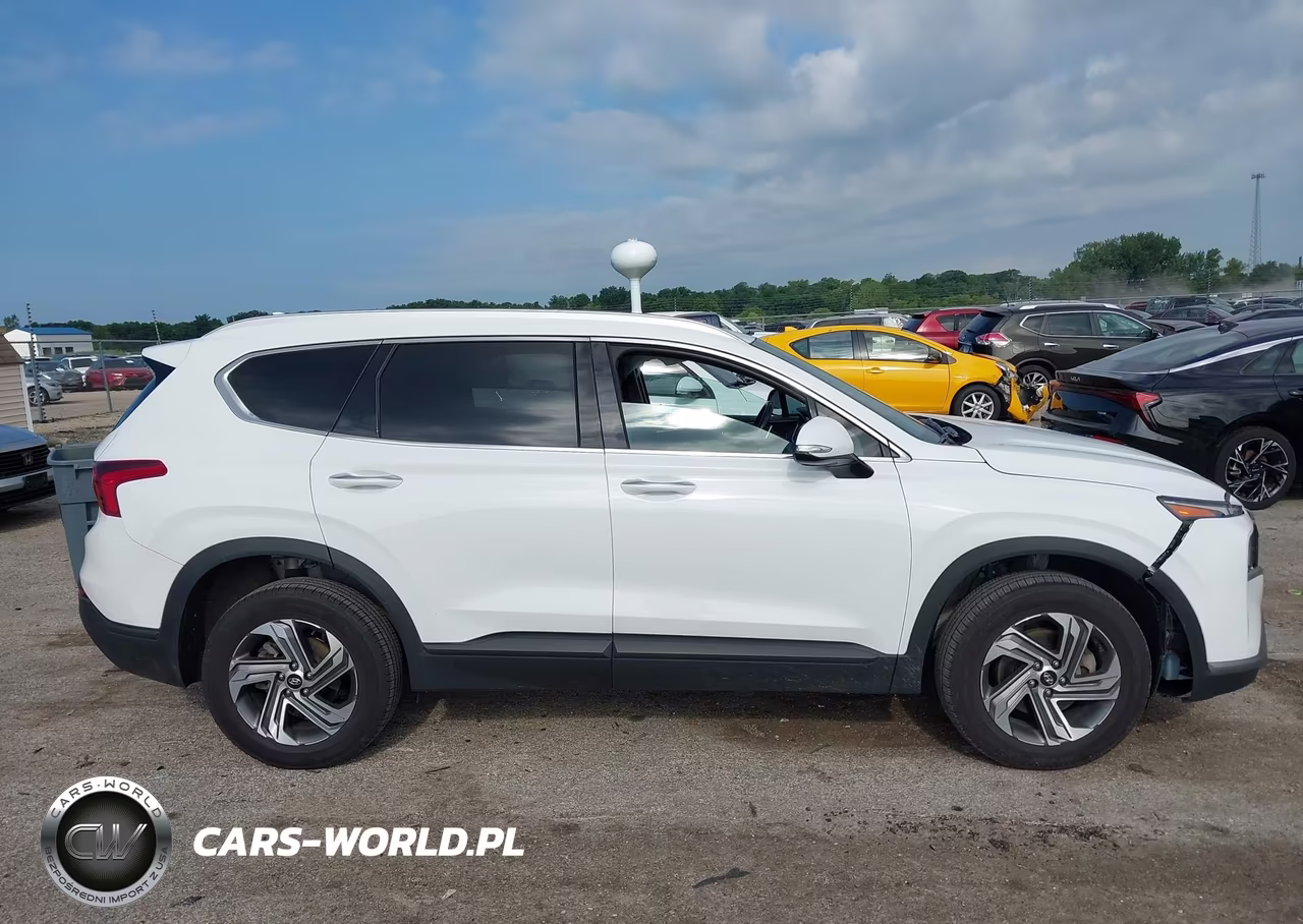 2023 Hyundai Santa Fe Sel VIN:5NMS2DAJ4PH563368 - 14