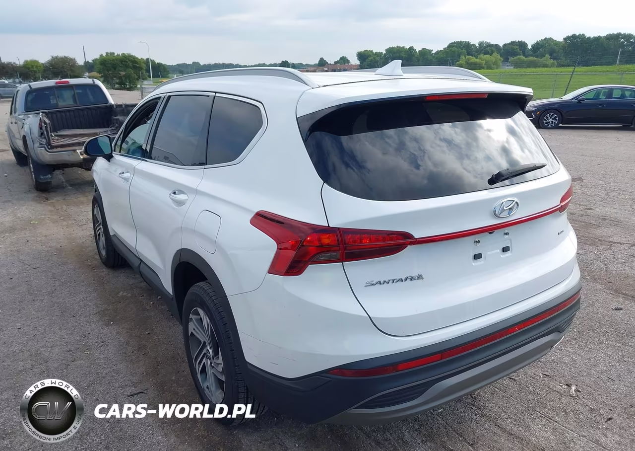 2023 Hyundai Santa Fe Sel VIN:5NMS2DAJ4PH563368 - 3