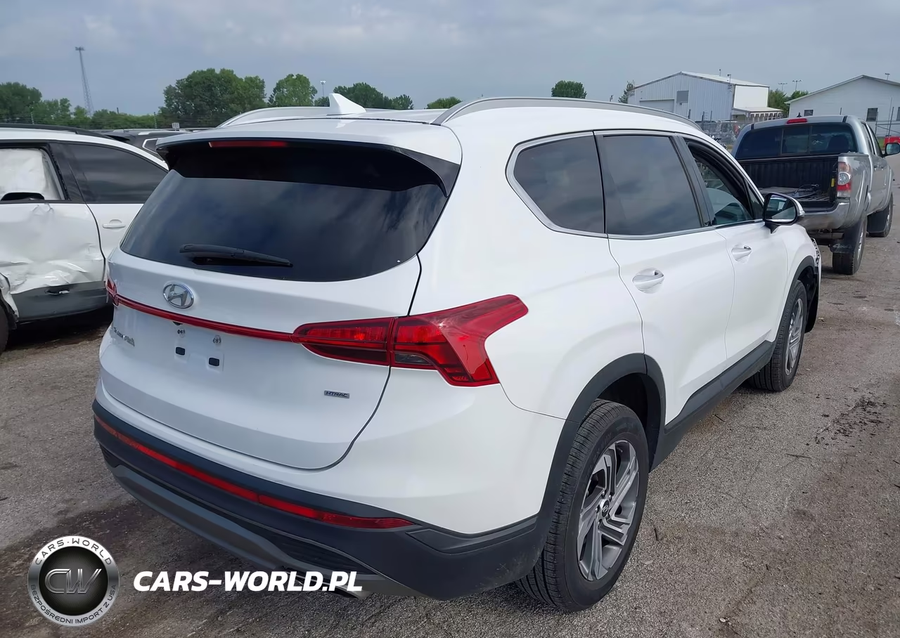 2023 Hyundai Santa Fe Sel VIN:5NMS2DAJ4PH563368 - 4
