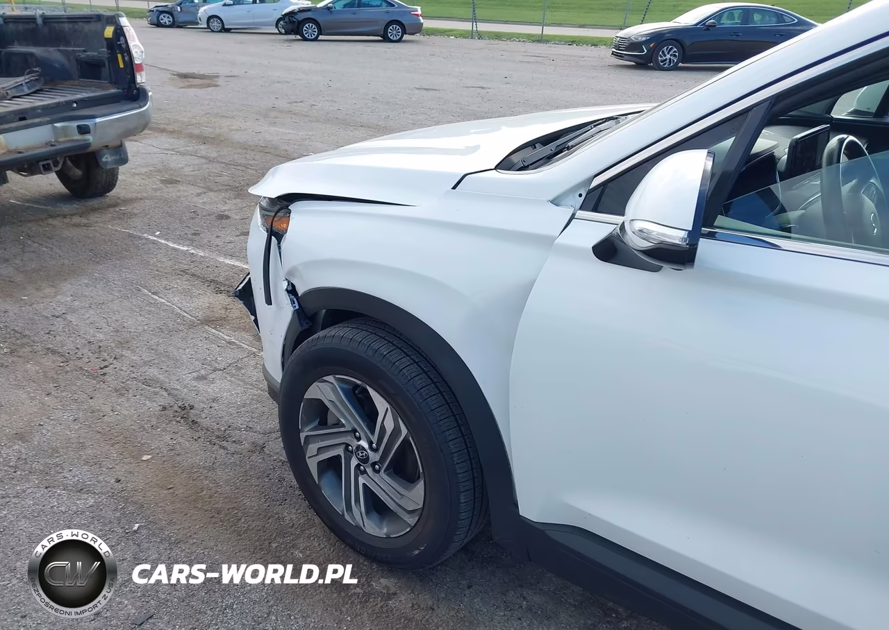 2023 Hyundai Santa Fe Sel VIN:5NMS2DAJ4PH563368 - 6