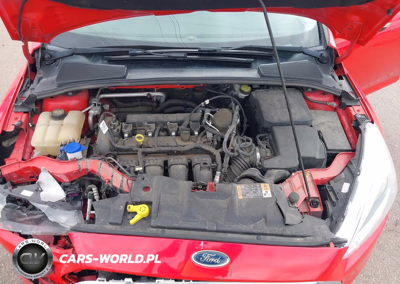 2016 Ford Focus Se VIN:1FADP3F27GL280456 - 10
