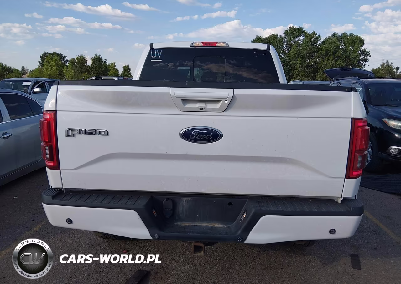 2015 Ford F-150 Lariat VIN:1FTEW1EP1FKE40497 - 16