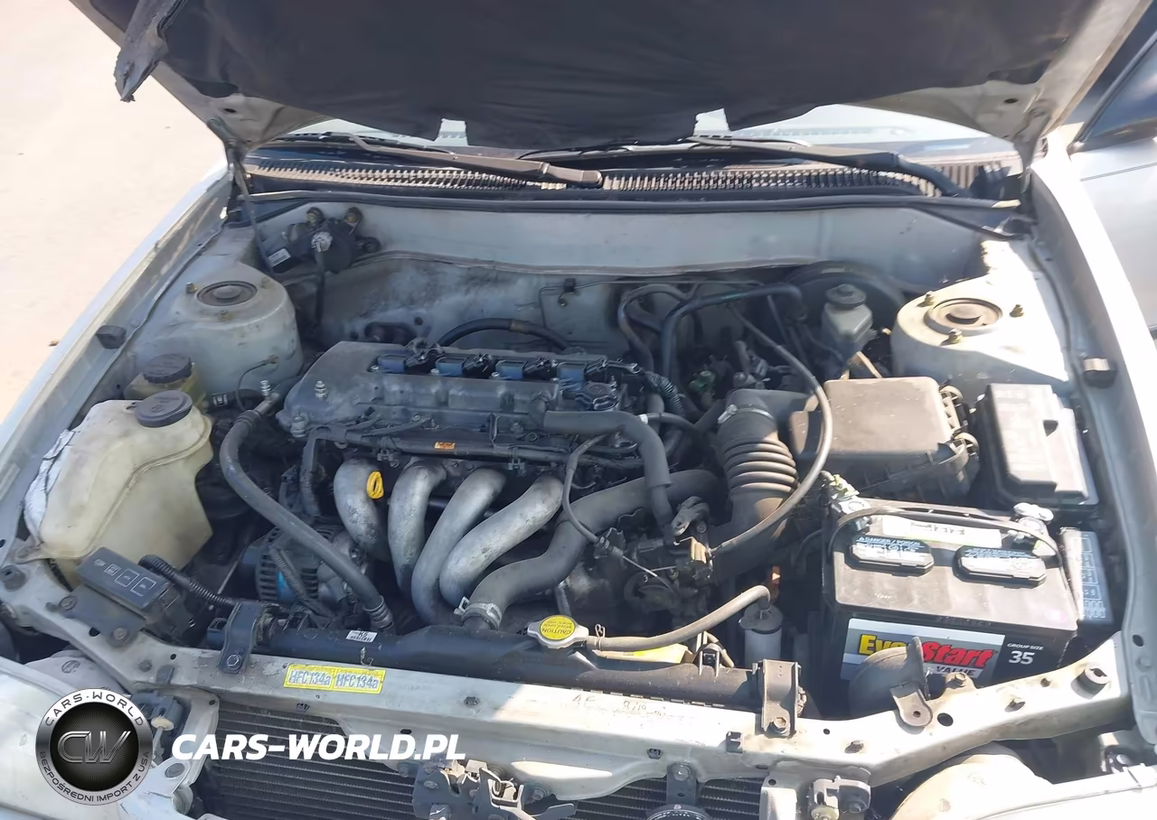 2000 Toyota Corolla Ce VIN:1NXBR12E6YZ406202 - 10