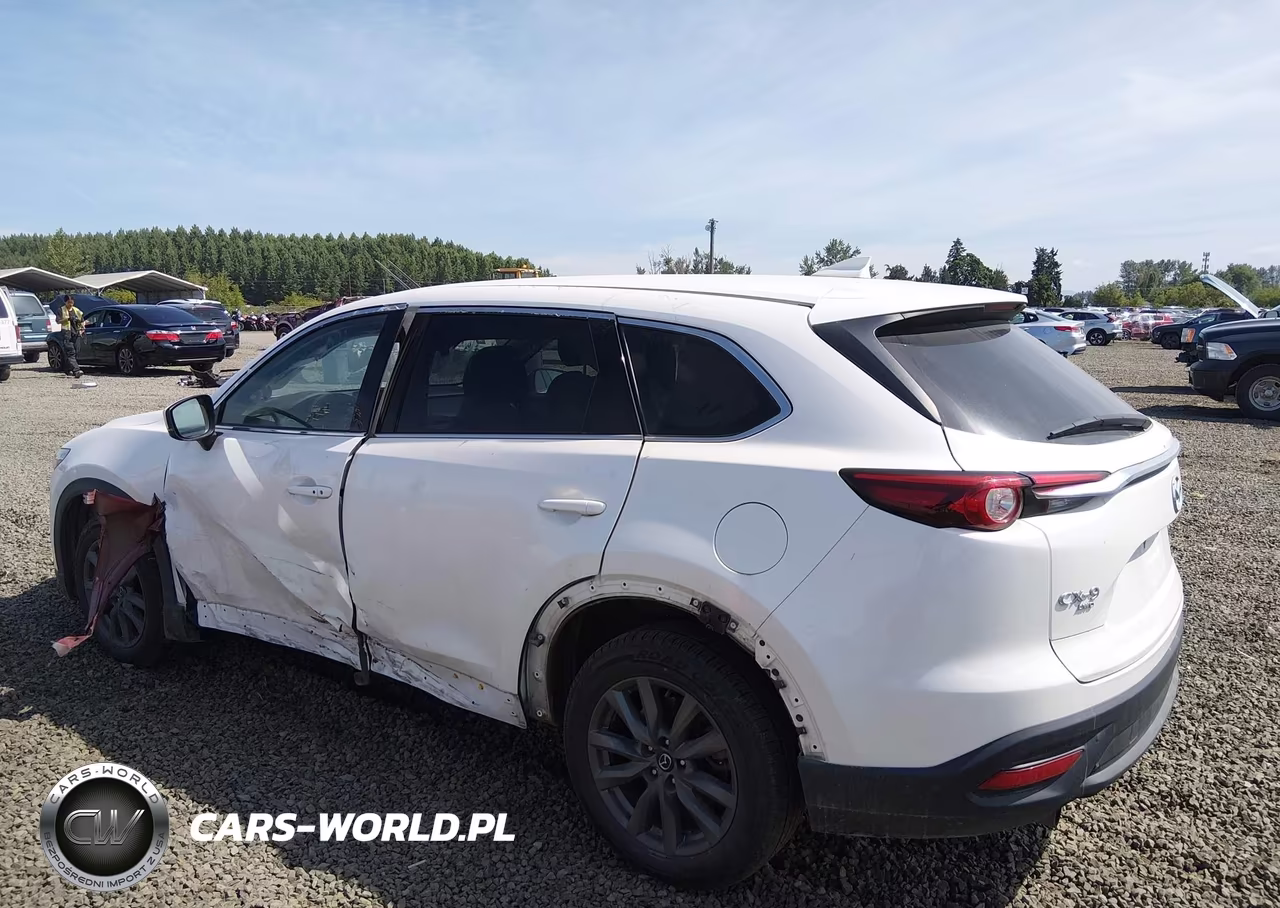 2022 Mazda Cx-9 Touring VIN:JM3TCBCY5N0605017 - 3