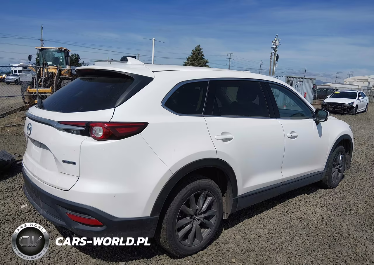2022 Mazda Cx-9 Touring VIN:JM3TCBCY5N0605017 - 4