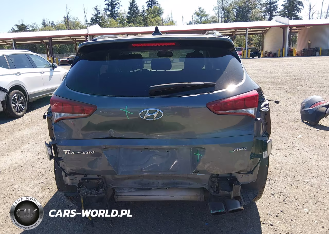 2018 Hyundai Tucson Value VIN:KM8J3CA20JU744328 - 17