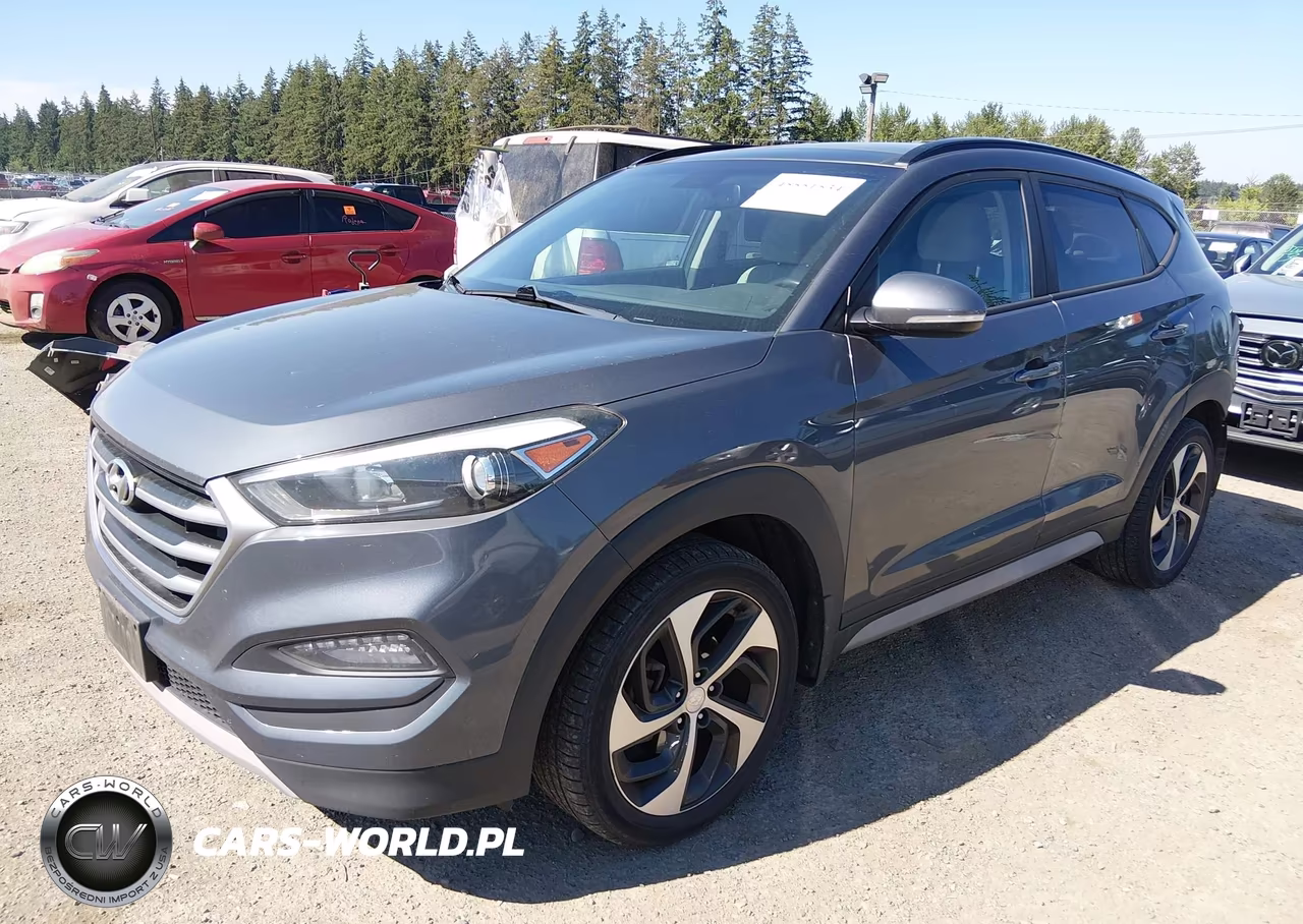 2018 Hyundai Tucson Value VIN:KM8J3CA20JU744328 - 2