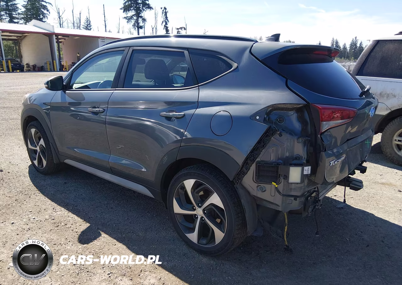 2018 Hyundai Tucson Value VIN:KM8J3CA20JU744328 - 3