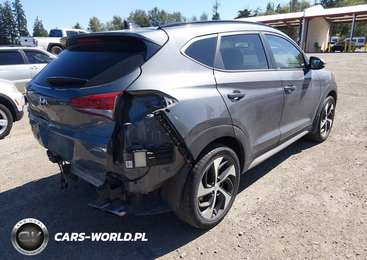 2018 Hyundai Tucson Value VIN:KM8J3CA20JU744328 - 4