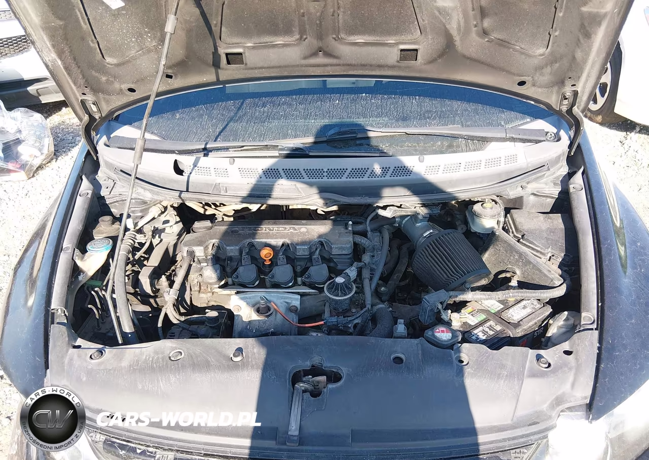 2010 Honda Civic Lx VIN:2HGFA1F52AH302291 - 10