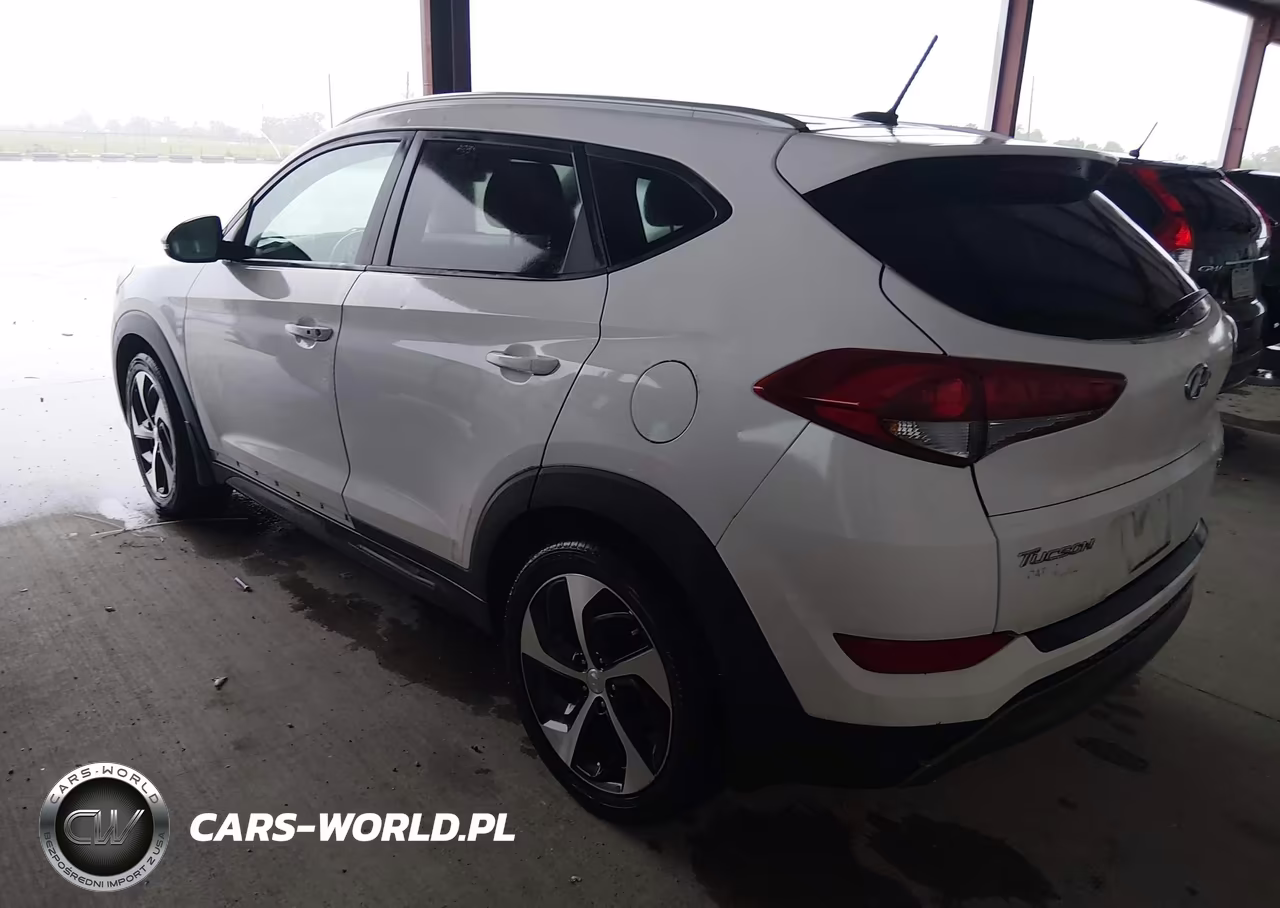 2016 Hyundai Tucson Sport VIN:KM8J3CA23GU137767 - 3