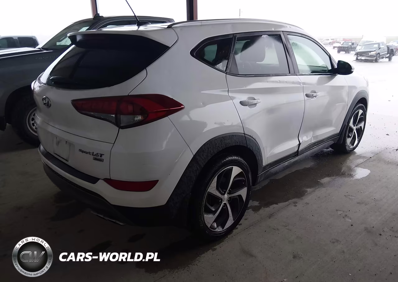 2016 Hyundai Tucson Sport VIN:KM8J3CA23GU137767 - 4