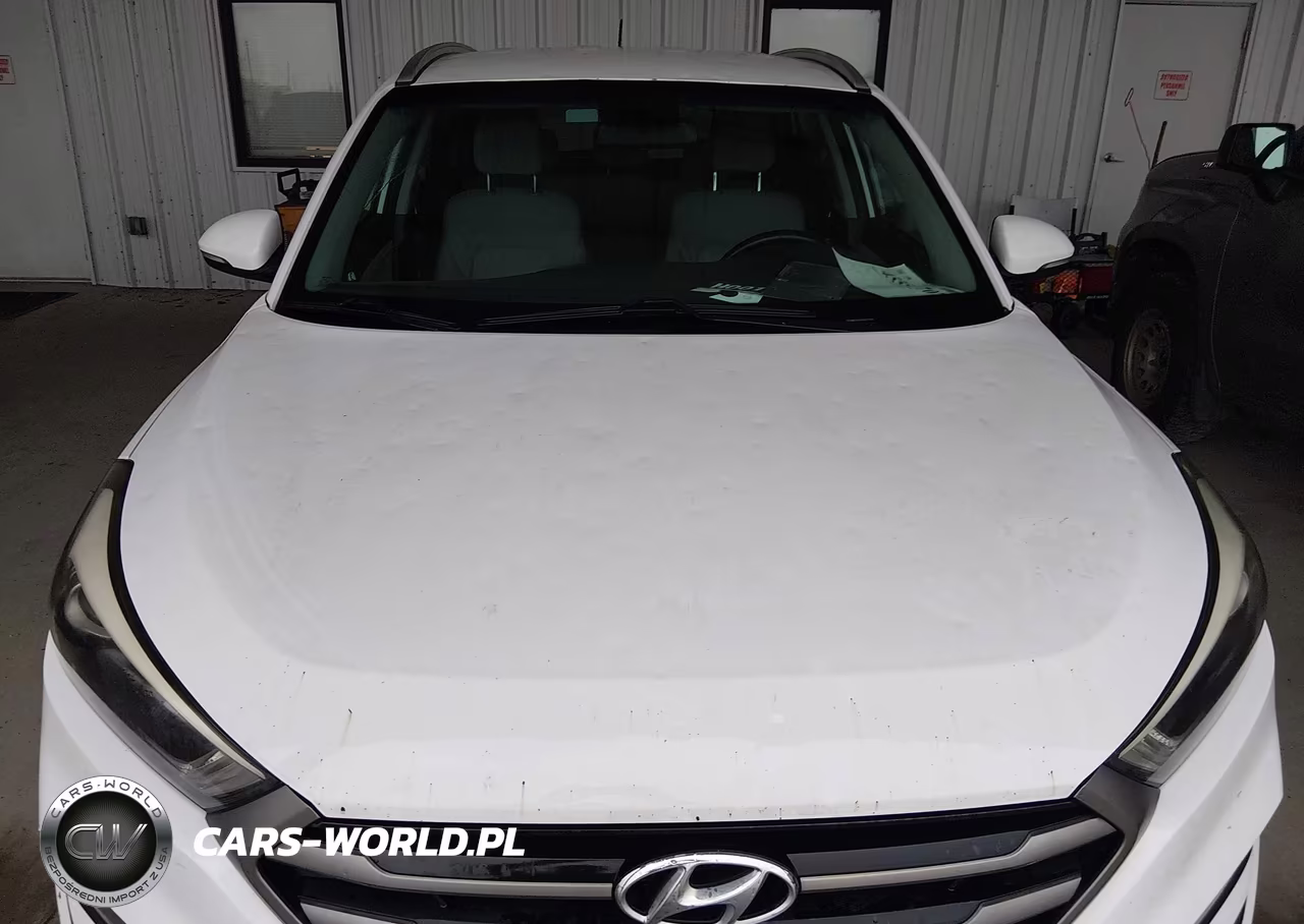 2016 Hyundai Tucson Sport VIN:KM8J3CA23GU137767 - 6