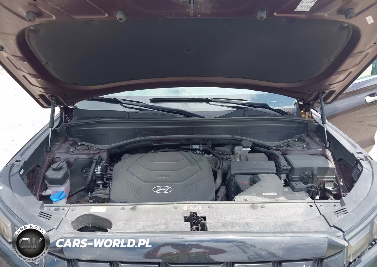 2024 Hyundai Palisade Sel VIN:KM8R4DGE1RU806144 - 10