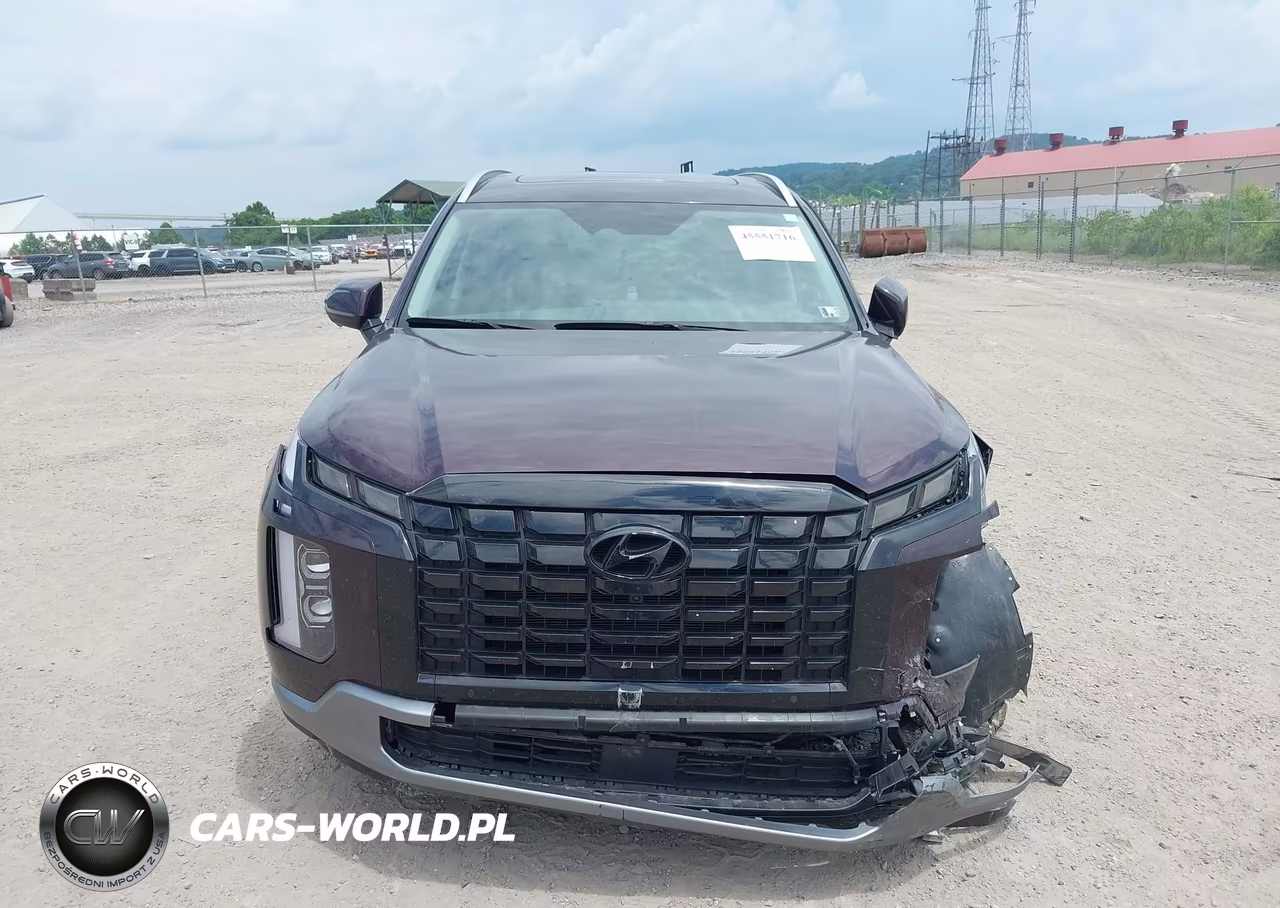 2024 Hyundai Palisade Sel VIN:KM8R4DGE1RU806144 - 12