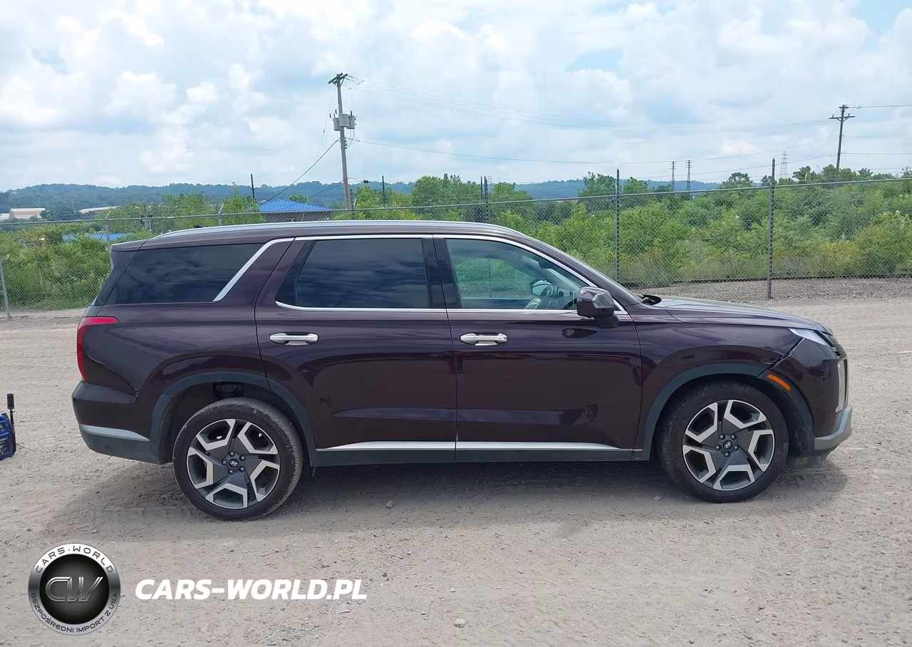 2024 Hyundai Palisade Sel VIN:KM8R4DGE1RU806144 - 13