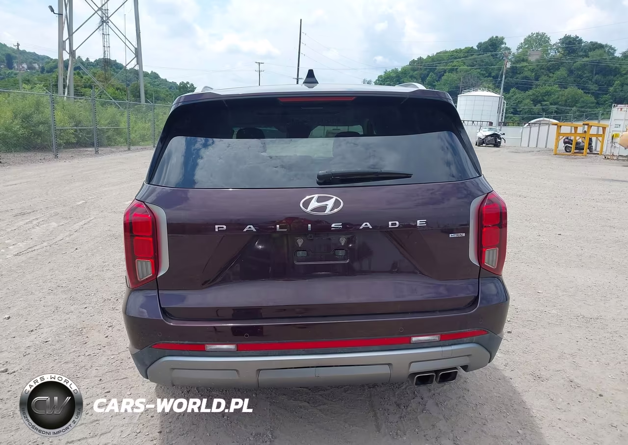 2024 Hyundai Palisade Sel VIN:KM8R4DGE1RU806144 - 16