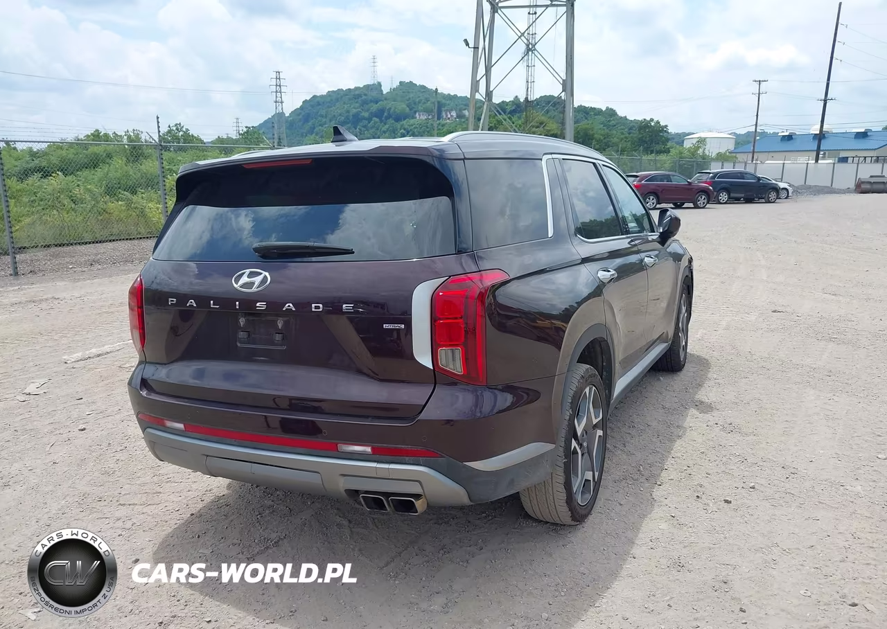 2024 Hyundai Palisade Sel VIN:KM8R4DGE1RU806144 - 4