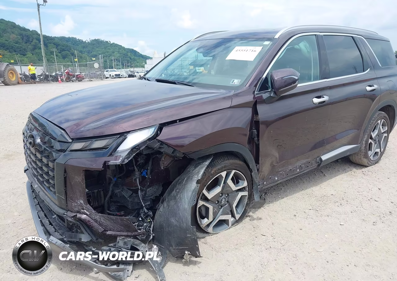 2024 Hyundai Palisade Sel VIN:KM8R4DGE1RU806144 - 6