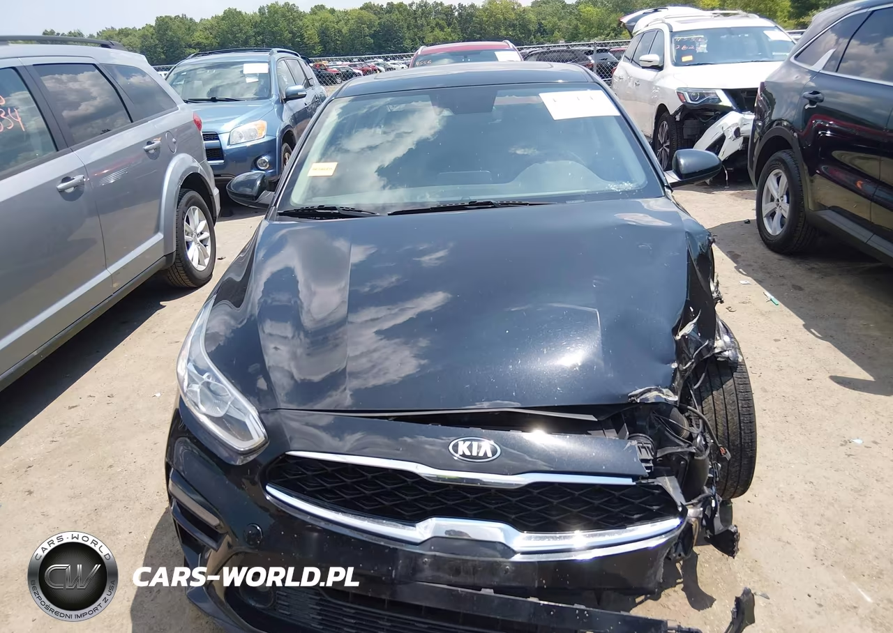2019 Kia Forte S VIN:3KPF34AD6KE006941 - 12
