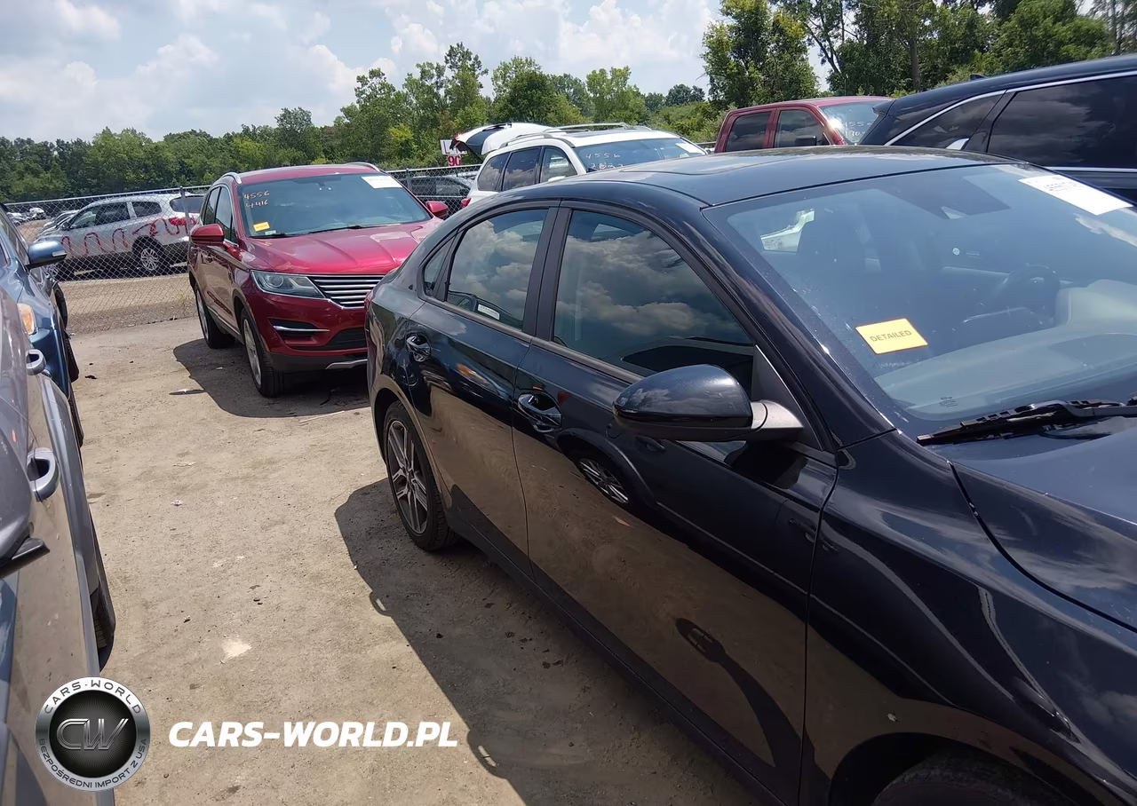 2019 Kia Forte S VIN:3KPF34AD6KE006941 - 13