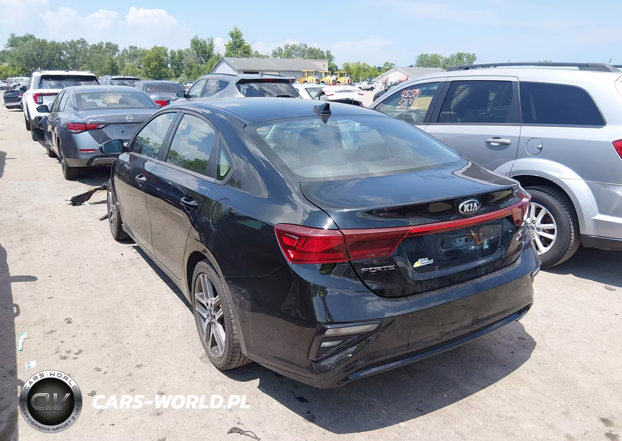 2019 Kia Forte S VIN:3KPF34AD6KE006941 - 3