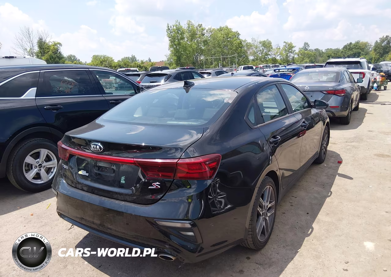 2019 Kia Forte S VIN:3KPF34AD6KE006941 - 4