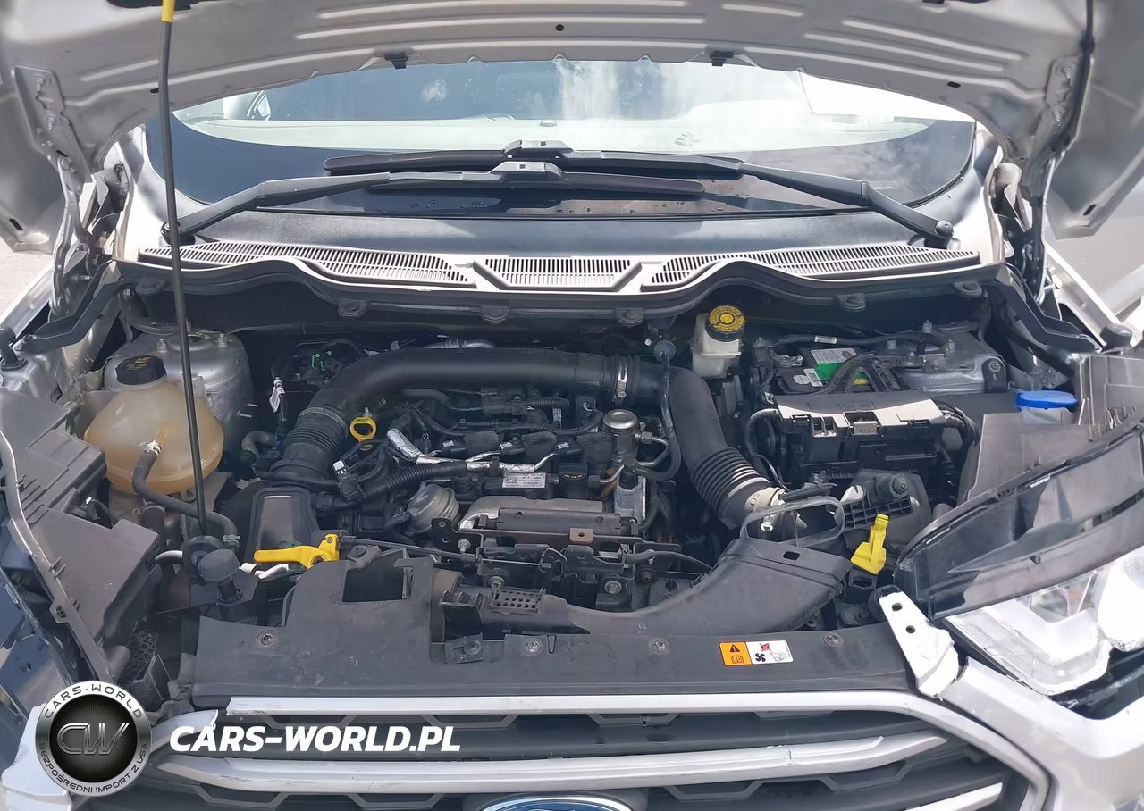 2019 Ford Ecosport Se VIN:MAJ3S2GE9KC252910 - 10