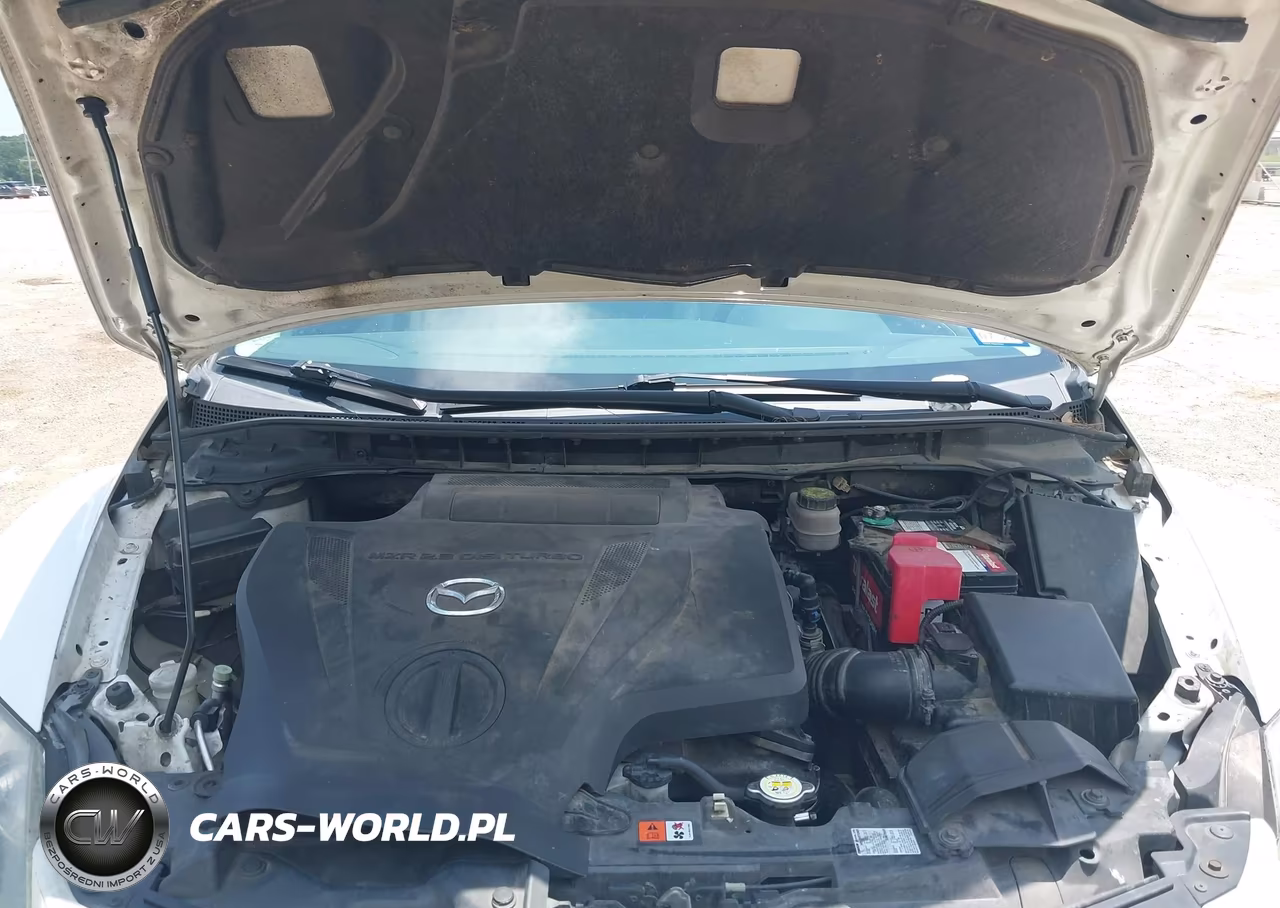 2010 Mazda Cx-7 S Touring VIN:JM3ER2W36A0315497 - 10