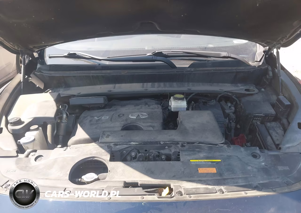 2019 Infiniti Qx60 Pure VIN:5N1DL0MM7KC564375 - 10