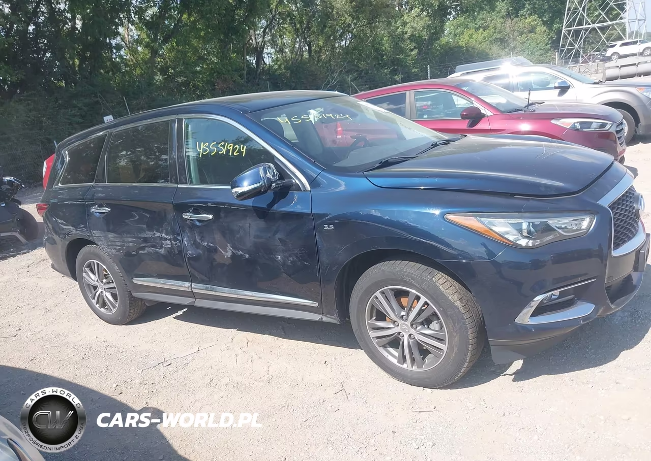2019 Infiniti Qx60 Pure VIN:5N1DL0MM7KC564375 - 13