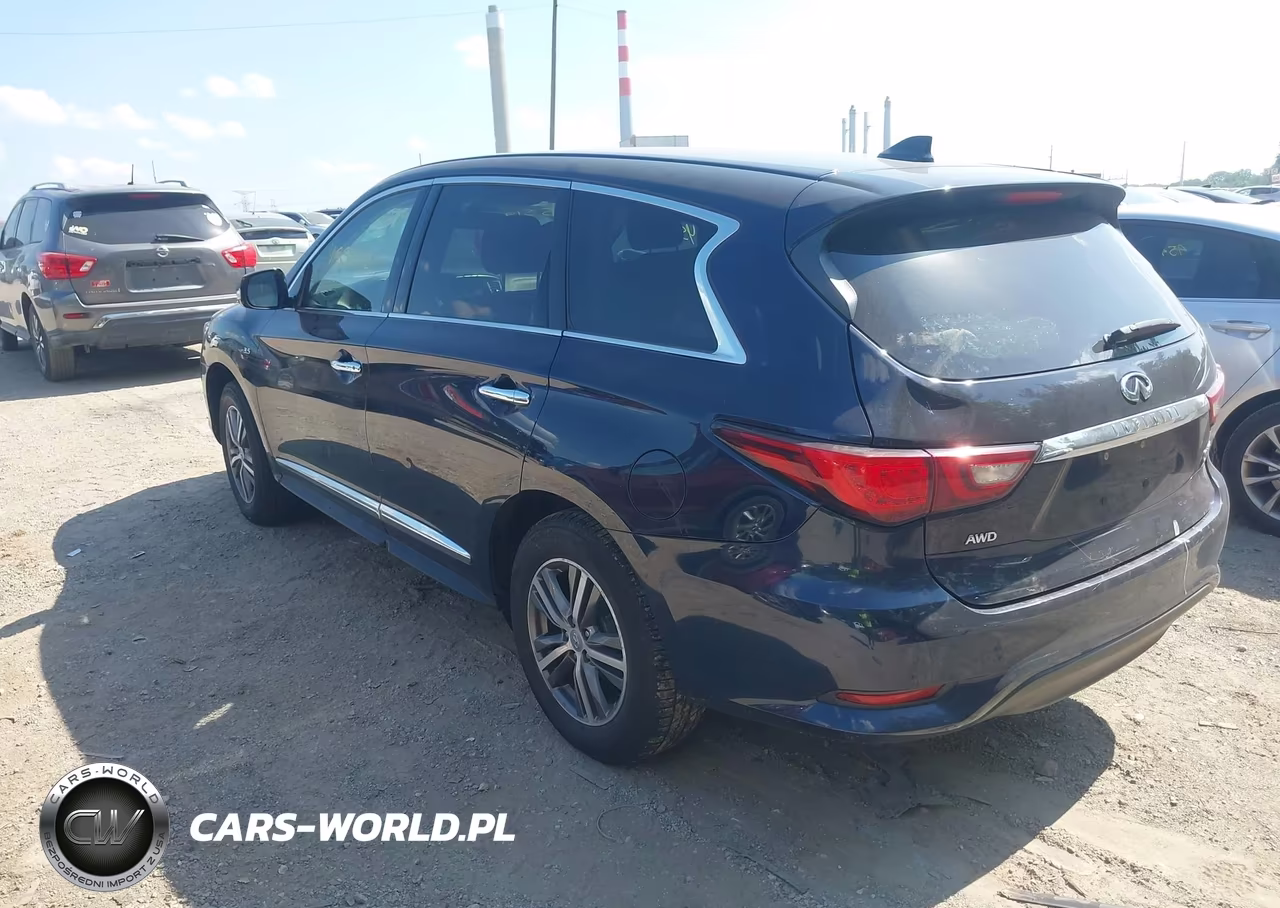 2019 Infiniti Qx60 Pure VIN:5N1DL0MM7KC564375 - 3