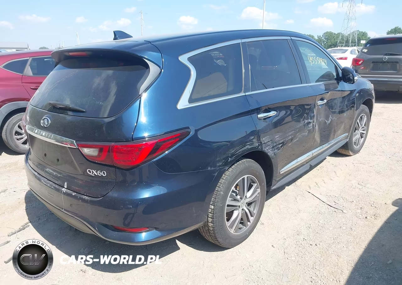 2019 Infiniti Qx60 Pure VIN:5N1DL0MM7KC564375 - 4