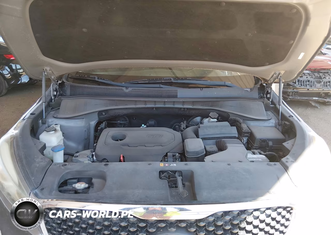 2016 Kia Sorento 2.4L L VIN:5XYPG4A30GG043302 - 10